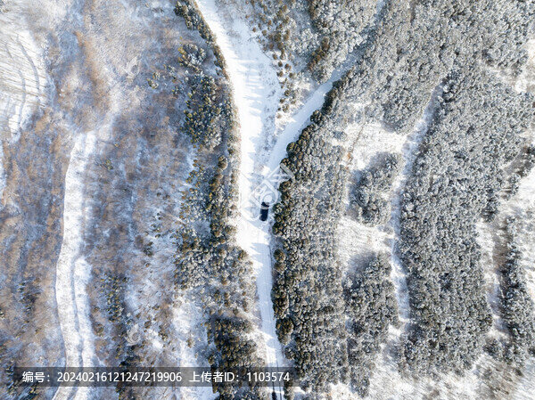 濟南拔槊泉村雪景