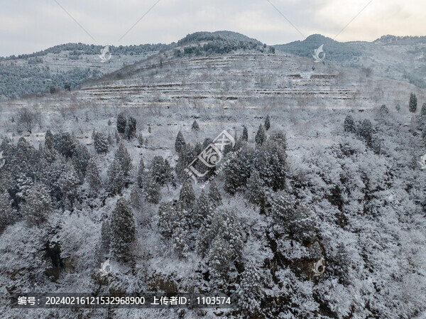 濟(jì)南彩西路雪景霧凇