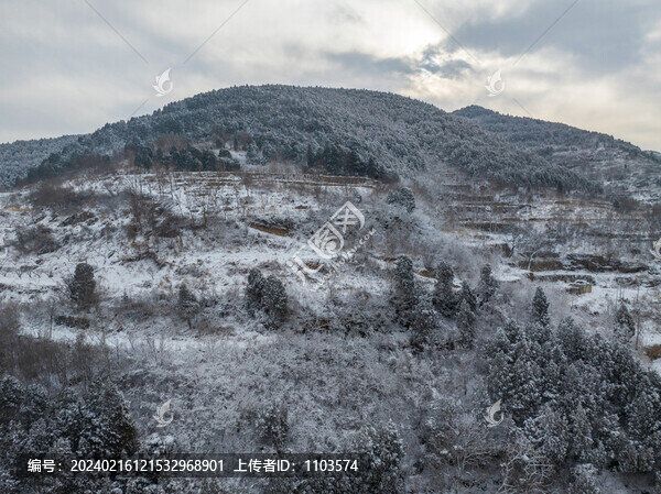 濟(jì)南彩西路雪景霧凇