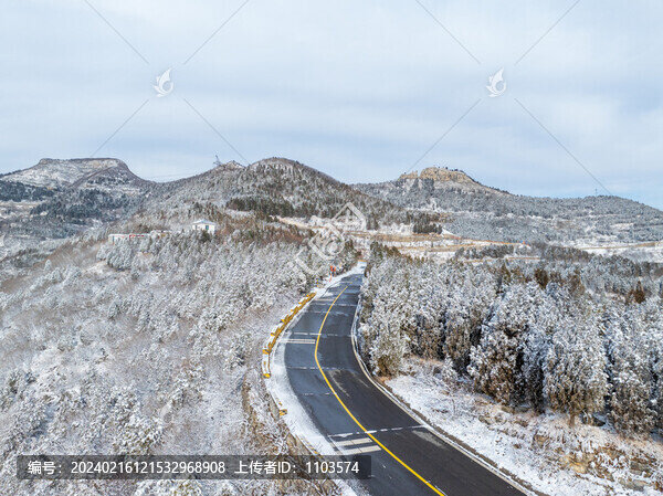 濟南彩西路雪景霧凇