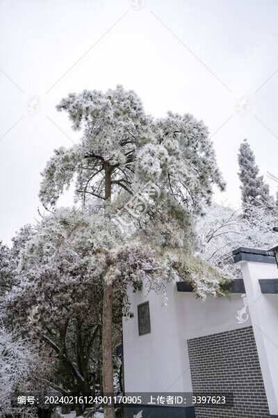 冬季雪后登山賞霧凇美景