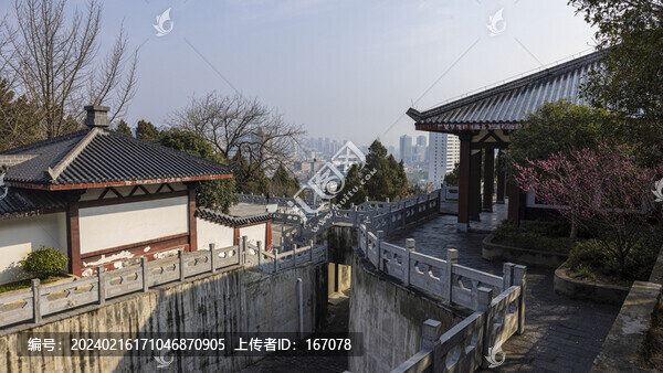 老萊子山莊