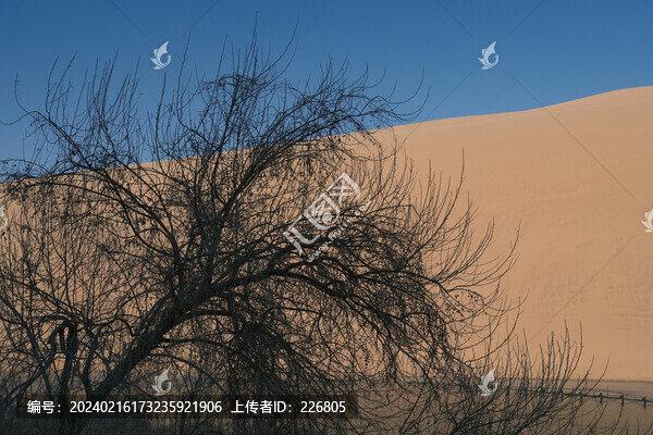 敦煌鳴沙山