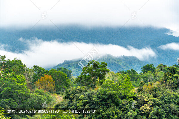 雨后的五指山脈
