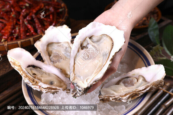 生蠔