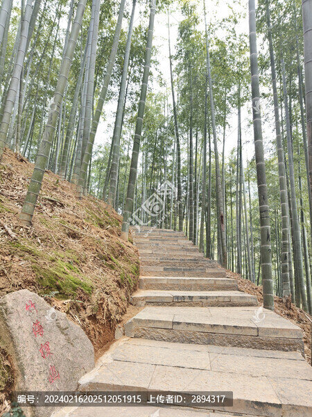 中國大竹海旅游區(qū)