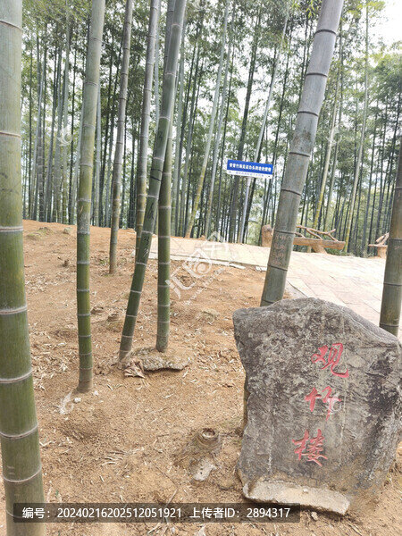 中國(guó)大竹海旅游區(qū)