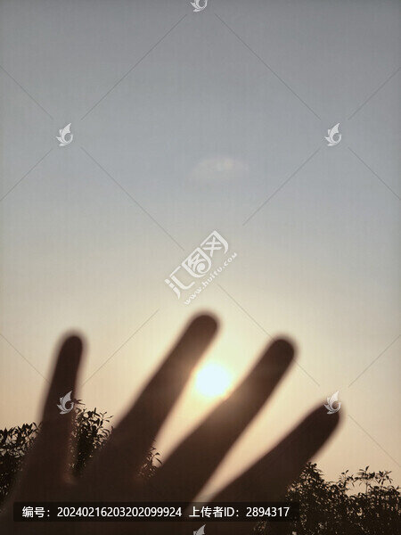 夕陽剪影