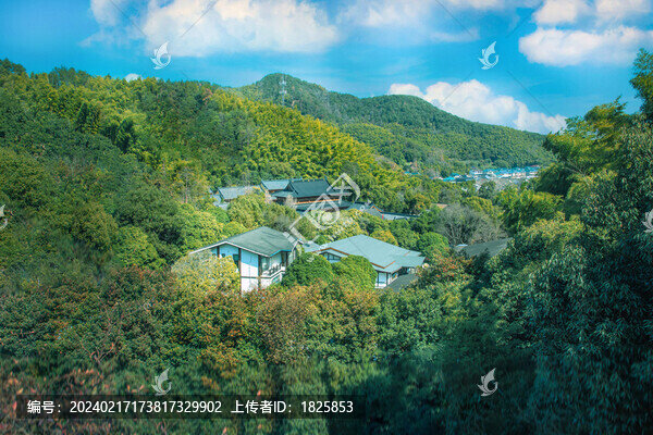 紹興會(huì)稽山