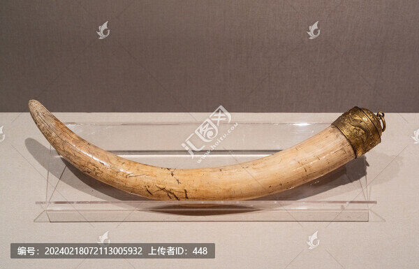 清代雕龍象牙