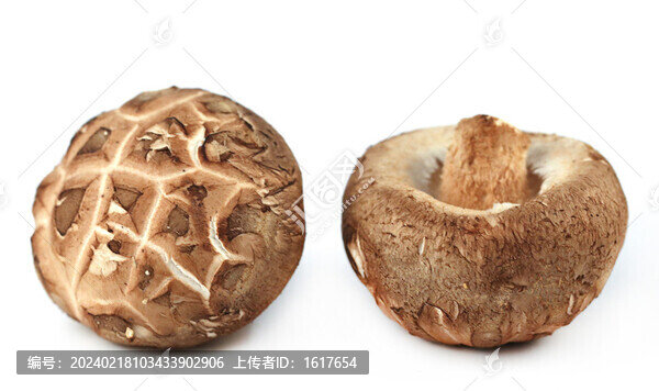 香菇