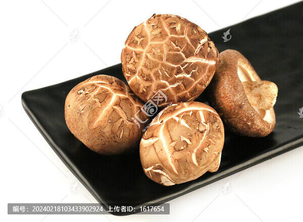 香菇