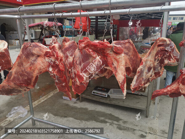 曬貨掛肉