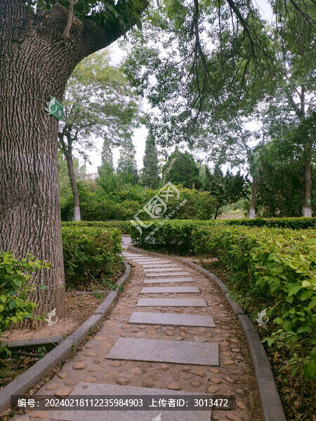 園林綠化