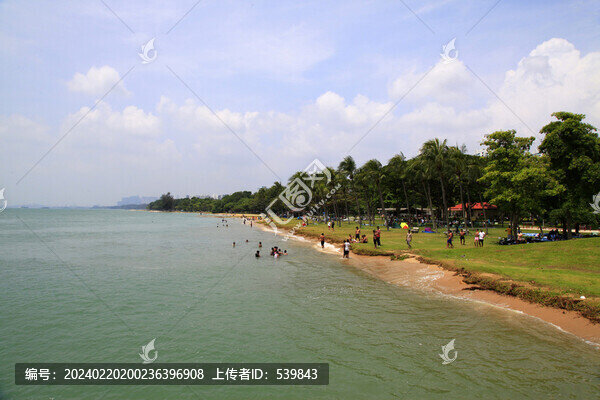 海岸線