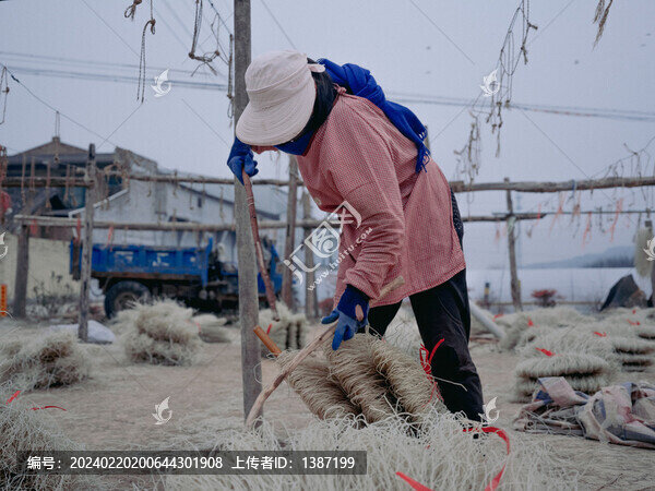 超高清手工粉條曬制現(xiàn)場(chǎng)過(guò)程