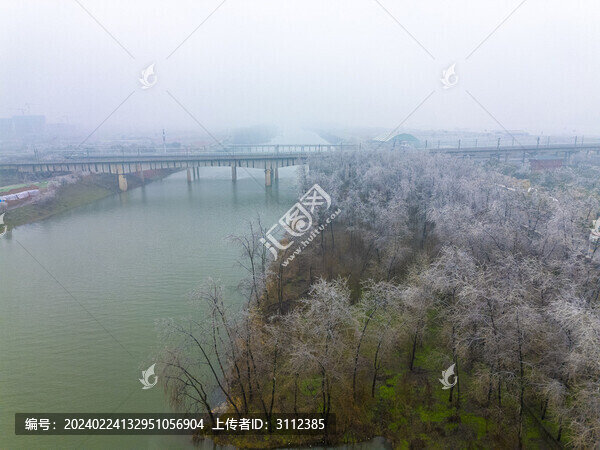 長(zhǎng)沙的凍雨冰樹(shù)