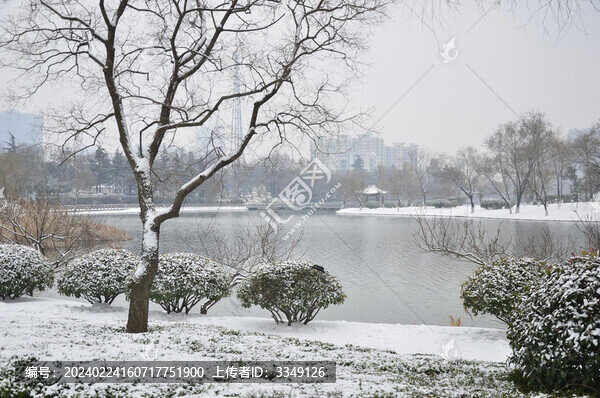 黃河公園雪景