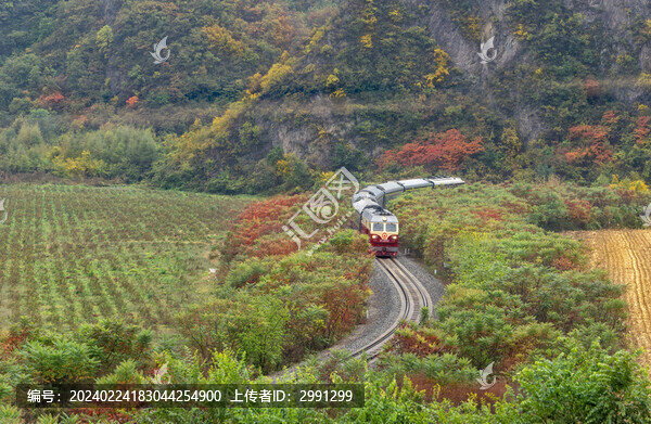希望的列車