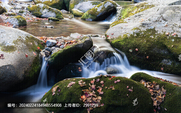 紅葉青苔流水