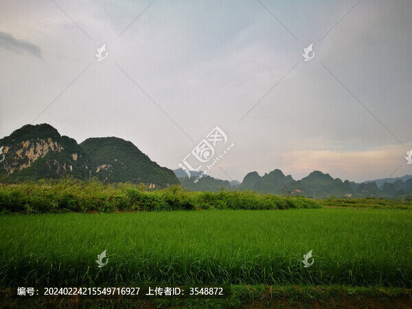 山野