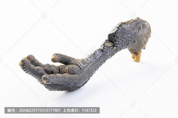 黑雞腳