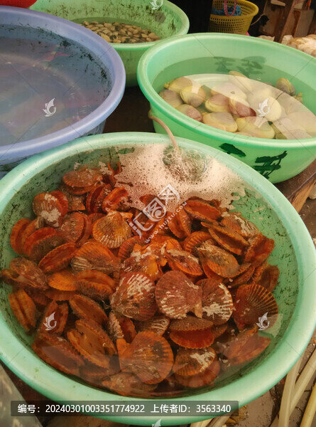 海鮮市場(chǎng)隨拍