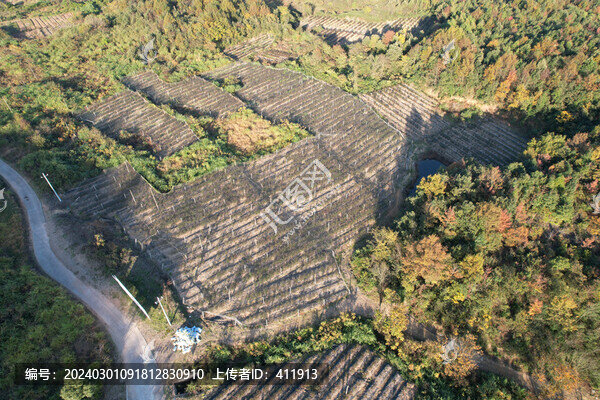 藍莓種植場地基地