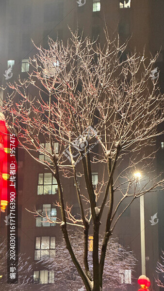 凍雨