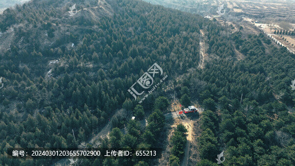 青山綠樹