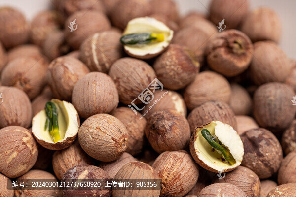 帶芯紅蓮子