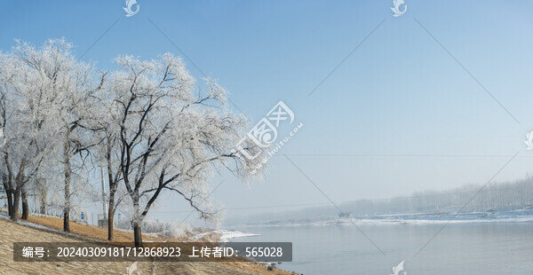 古运河畔雾凇雪景自然风光