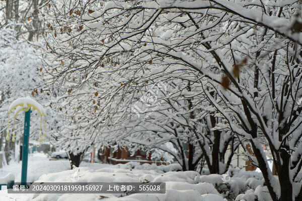 大雪中的樹掛雪景城市自然風光