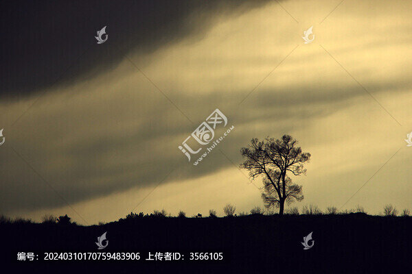 烏云枯樹(shù)