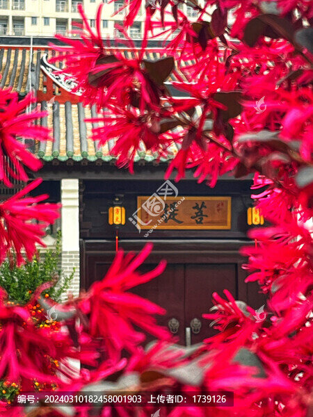 光孝寺