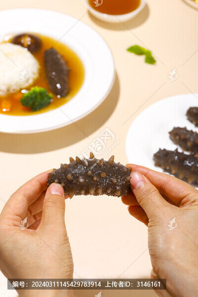 海參