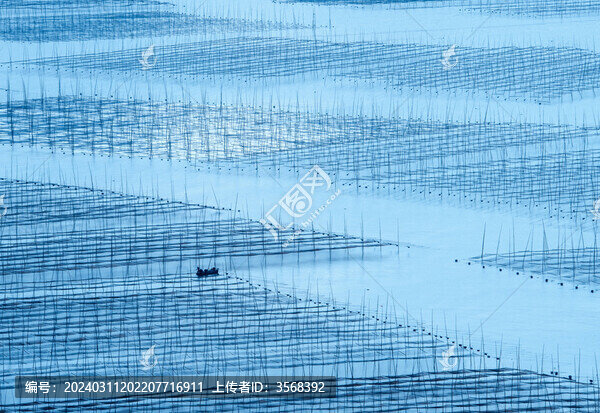 福建霞浦灘涂
