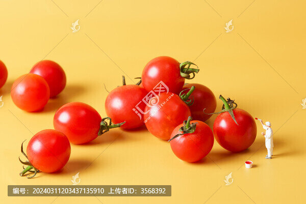 圣女果創(chuàng)意拍攝