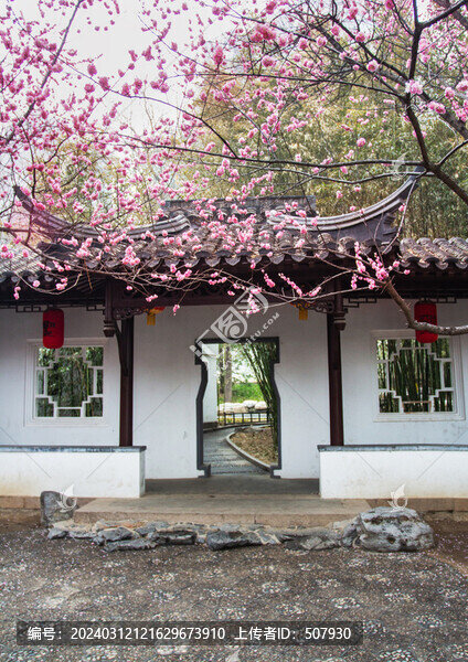 梅花與徽派建筑
