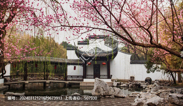 梅花與徽派建筑