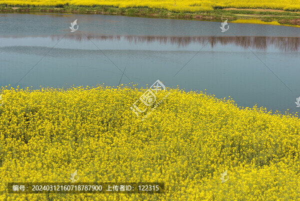 開滿鮮花的河流