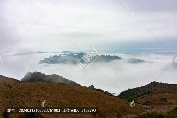 金秀平蘭頂?shù)は嫉孛苍坪熡觎F景