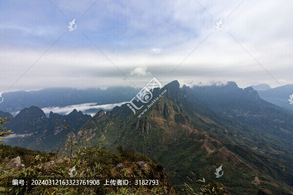 金秀平蘭頂?shù)は嫉孛苍坪熡觎F景