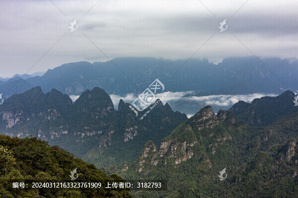 金秀平蘭頂?shù)は嫉孛苍坪熡觎F景