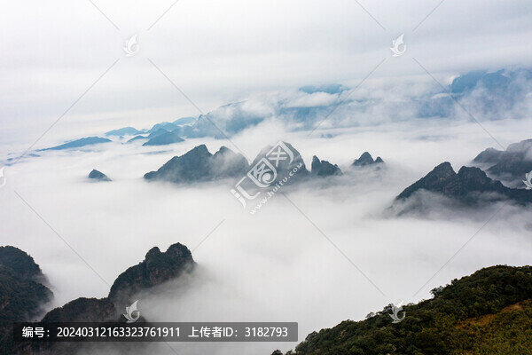 金秀平蘭頂?shù)は嫉孛苍坪熡觎F景