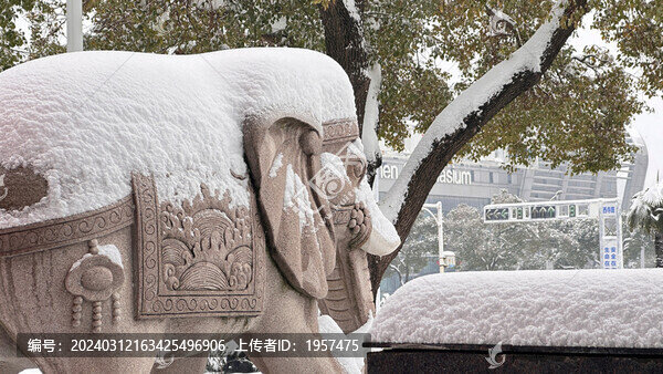 積雪
