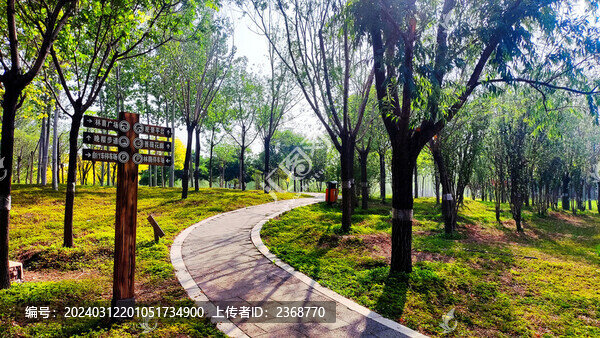 公園