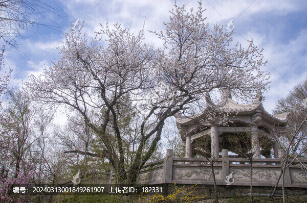 園林花樹涼亭