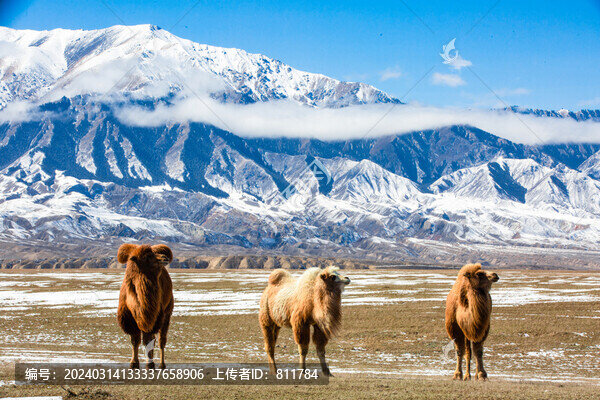 新疆冬季巍巍天山