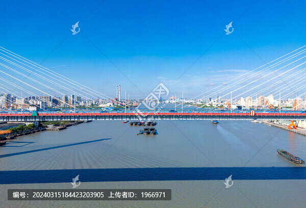 上海市楊浦大橋